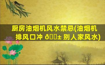 厨房油烟机风水禁忌(油烟机排风口冲 🐱 别人家风水)